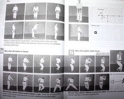 Best Karate (Volume 9). Bassai Sho, Kanku Sho, Chinte