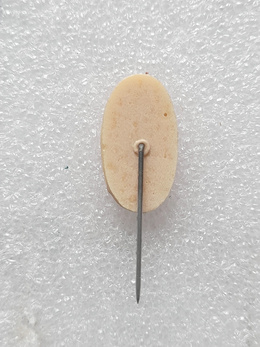 Tottenham Hotspur FC crest old badge (epoxy)