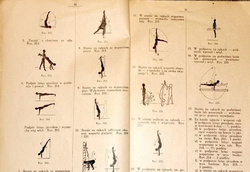 Body exercises for school children with relative assessment (1928)