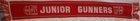 Arsenal FC Junior Gunners scarf (2)