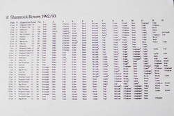 Irish Football Handbook 1993-94
