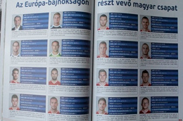 Hungarian national football team Euro 2016 guide