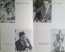 Chess deceptions and trivia