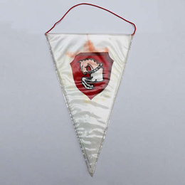 Sport Club Ruda Hvezda Pardubice pennant (official product)