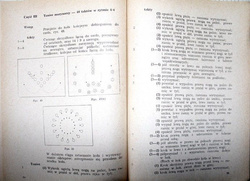 Spectacular gymnastic shows