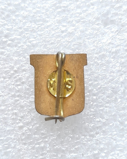 Rapid Bucharest crest badge (enamel, signed)