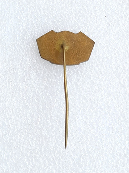 The 50th Anniversary of the Slovan Bratislava 1919-1969 badge (lacquer)