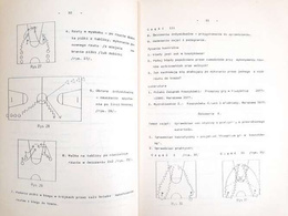 Basketball practice tips