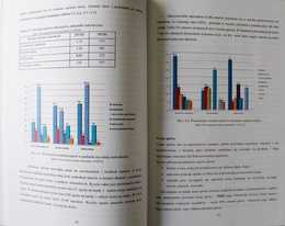 Downhill skiing. Selected aspects