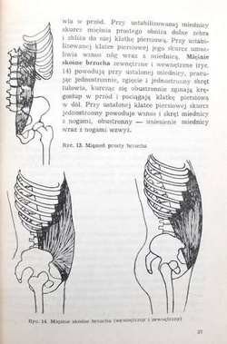 Education. Corrective gymnastics for 6-10-year-old children