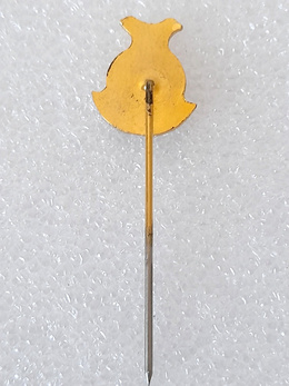 RFK Novy Sad crest badge (Serbia, epoxy)