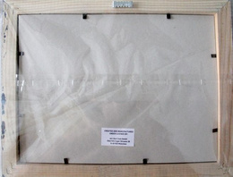  FC Nantes 10 pins-collection historical logos (official product)