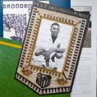 Pele. My life in pictures