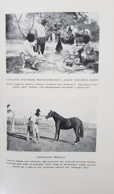 Southern Cross to Pole Star (1935)