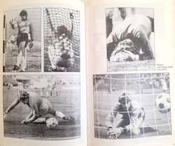 Whistle. Toni Schumacher