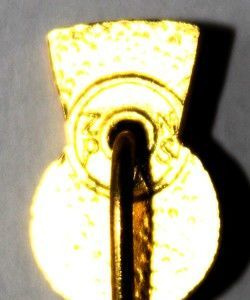 FK Celik Zenica (lacquer, signature)