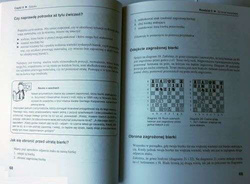 Chess for newbies - everything you should know about ...