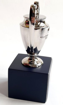 FC Barcelona UEFA Champions League Mini Replica Trophy (official licensed product)