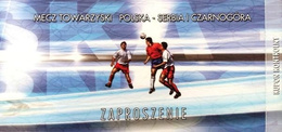 Poland - Serbia and Montenegro match ticket  (16.11.2003)