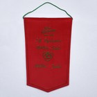 SG Dynamo Berlin Sud - judo team pennant (official product)