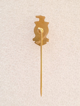 AFE Araraquara crest badge (Brazil, lacquer)