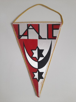 HSG Padagogik Halle old pennant (East Germany)