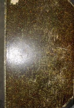 The Olympia Zeitung (official journal of Olympic Games Berlin 1936) nr 1-30 (complete)