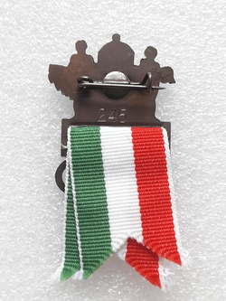 1998 Nagano Winter Olympic Games 1998 Hungary National Team badge (official product, signature)