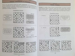Three steps into the chess world. Principles and nuances of the royal game. Part 2