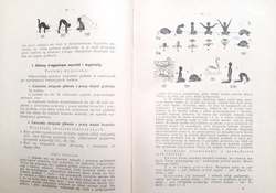 Gymnastics for young children. Resource of exercise material and lesson patterns (1931)