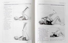 The Dyna-Band Challenge