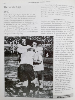 Encyclopedia of World Football. From the origins of the game to 2008. The essential fan's guide