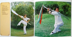 Wushu Chinese Martial Arts