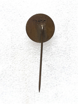 FK Celik Zenica crest badge (Bosnia, epoxy)