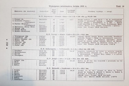 Cars on the World races courses