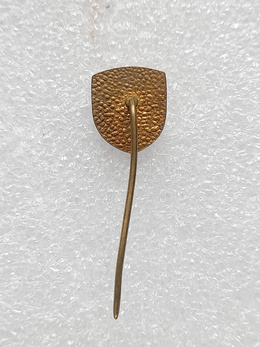 FK Drina Zvornik crest badge (epoxy)