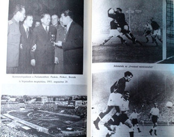 Golden Eleven (Hungary)