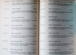 Golden Eleven (Hungary)