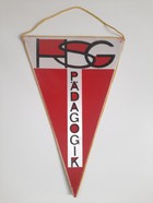 HSG Padagogik Halle big old pennant (East Germany)