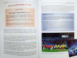 Champions League in Plzen. Viktoria Plzen in the cup in autumn 2013