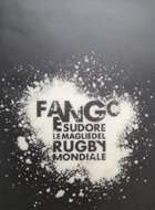Mud and sweat. World rugby shirts