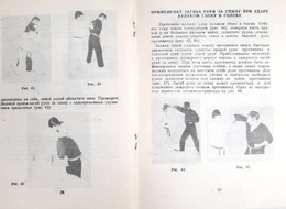 Ju-Jitsu green belt (Ukraine)