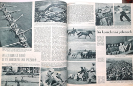 Stadion illustrated weekly magazine complete Annual 1957 (Czechoslovakia)