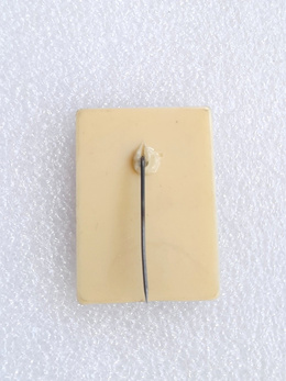 Poland vs England, FIFA World Cup qualyfing match 6.6.1973 badge (plastic)