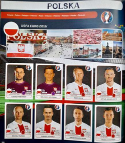 Euro Cup Panini Football Collections 1980-2020