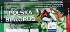 Poland - Belarus match ticket  (09.02.2005)