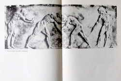 On the Olympic athletic track and in the fight