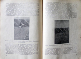 Sports meteorology. Selected Issues