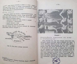 Swimming and water rescue