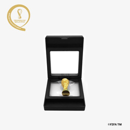 FIFA World Cup Qatar 2022 miniature trophy replica in frame (Official Licensed Product) 4,5 cm
